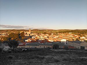 Archivo:Vista de San Martín de Pusa