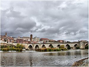 Archivo:Vista de Tordesillas