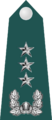 18.SKA-LG