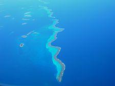 Arrecife de Numea1