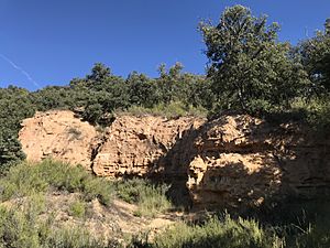 Barranco de Vallejo de la Horna de Villarroya.jpg