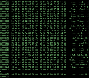 Archivo:Binary executable file2