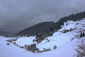 Archivo:Bosco Chiesanuova (Grietz Dossetti Tinazzo) Lessinia VR Italy 2013-04-01 photo CTG ACA LESSINIA Paolo Villa 0055sp 04