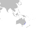 Brachaelurus waddi distmap