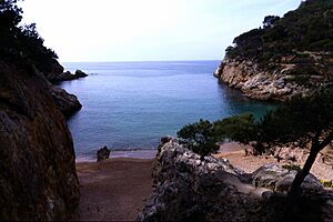 Archivo:Cala Pola - Cadiretes
