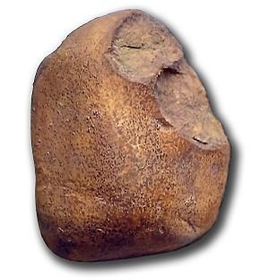 Archivo:Canto tallado de Atapuerca TD6 (Gran Dolina)