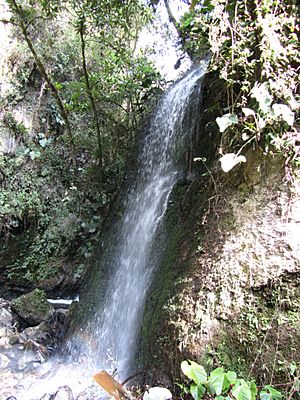 Archivo:CascadadelRioMojandaGrande