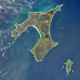 Archivo:Chatham Islands from space ISS005-E-15265