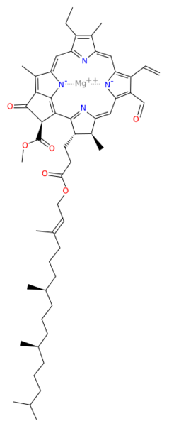 Chlorophyll f vert