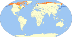 Mapa de distribución. En naranja: zonas de nidificación, en azul: áreas de invernada.