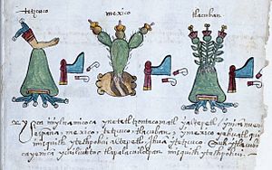 Codex Osuna Triple Alliance.JPG
