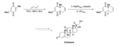Cortisone Diels-Alder Woodward