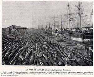 Archivo:DéboisementArgentineAncienPort