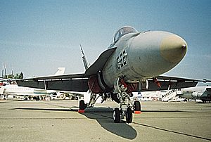 Archivo:F-18 ila2002