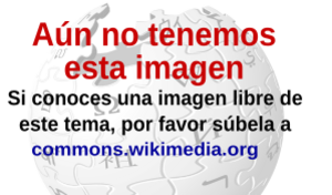 Archivo:Falta