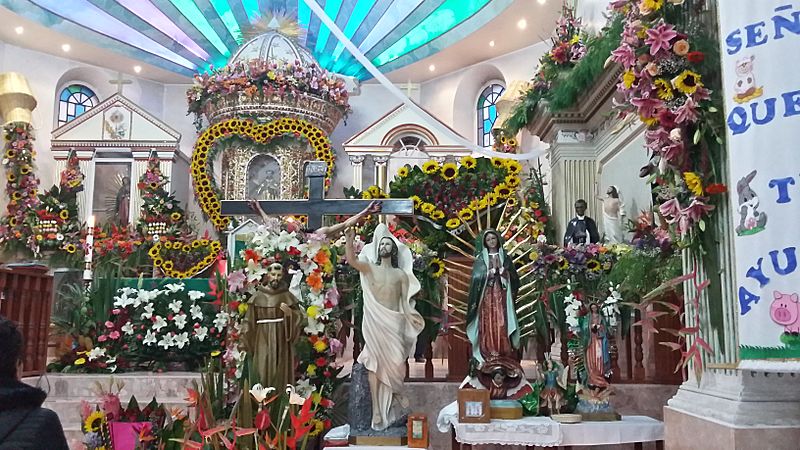 Feria Anual San Francisco Xochicuautla
