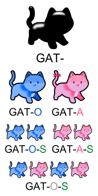 Archivo:FlexiónGato-svg