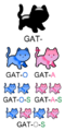 FlexiónGato-svg