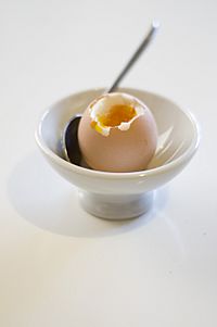 Archivo:Huevo duro