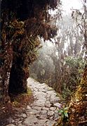 Incatrail in Peru