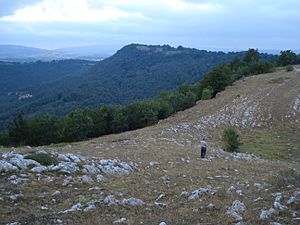 Archivo:La lobera de Villaescusa del Butrón