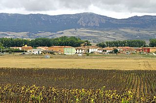 Las Vesgas 2.jpg
