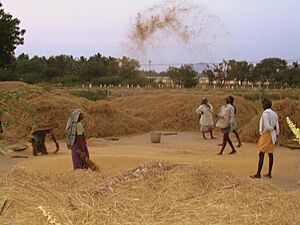 Archivo:Madurai Dalit village 2