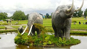 Archivo:Manada de Gonfoterios (Parque chuyaca - Osorno)