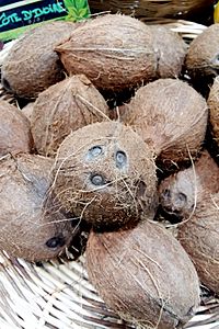 Archivo:Noix de coco de culture biologique de Côte d'Ivoire, dans une boutique du onzième arrondissement de Paris, France