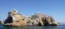 Pequeña isla cerca de la Borracha.jpg