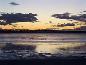 Archivo:Pink Lake Sunset