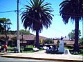Plaza curanipe
