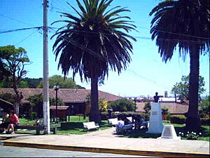 Archivo:Plaza curanipe