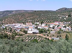 Prados de Armijo solana