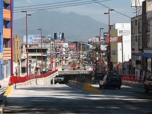 Archivo:Primer Nodo Vial - Av. Mexico y Av. de los Insurgentes (cfrausto)