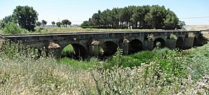 Archivo:Puente sobre el río Ucieza 01