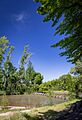 Río Cauquenes vista 2