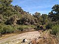 Río Monardilla - IMG 20190727 113946 652