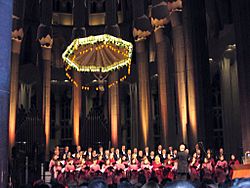 Archivo:SF - Concert Nadal