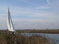 Sailing on the fens - geograph.org.uk - 117804