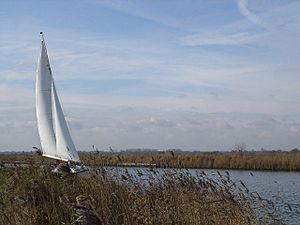 Archivo:Sailing on the fens - geograph.org.uk - 117804