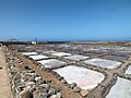 Salinas de Tenefé 2