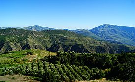 Sierra de Lújar. (5985998884).jpg