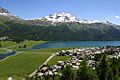 Silvaplaner See und Piz Corvatsch