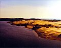 Silver Lake Dunes Michigan 1