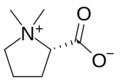 Stachydrine