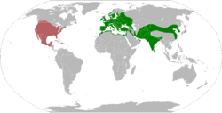 Distribución mundial de la tórtola turca.