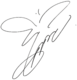 Taeyeon signature.png