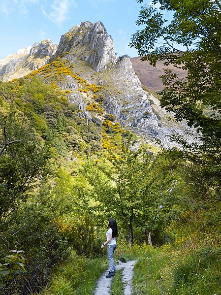 Valle de Friguera