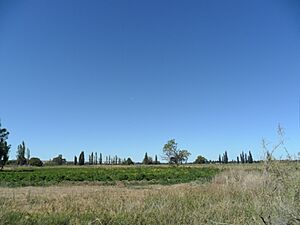 Archivo:Valle del Chubut (25)